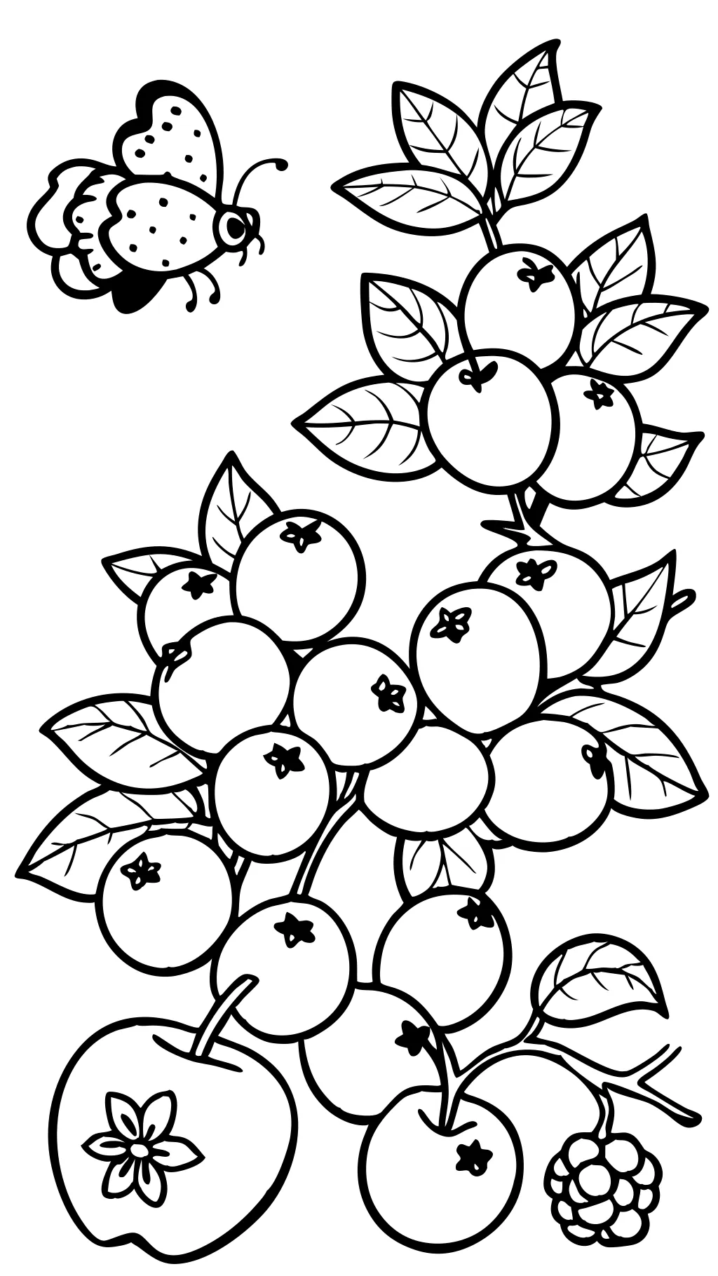 coloring pages blueberries